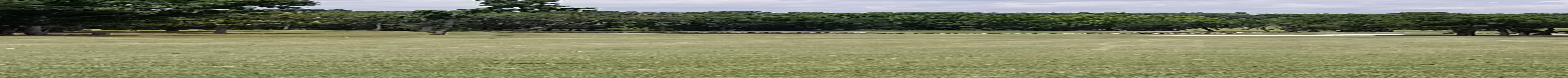 Quite the Golf Hole Quite the Golf Hole